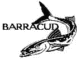Аватар для barracud