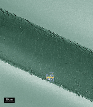 single nanotube ring oscillator circuit