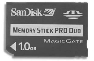 Memory Stick PRO Duo