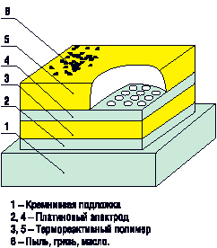 Структура чувствительного элемента