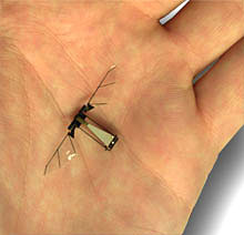 Robotic Fly for Covert Surveillance