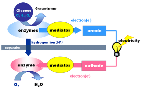 Sony developed a system of breaking down sugar to generate electricity