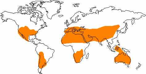 Areas of the world with high insolation