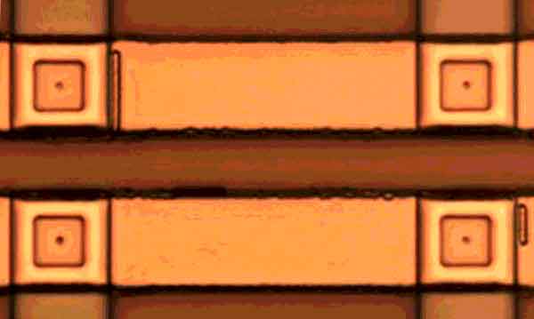 Optical microscopy image of four reconfigurable GeTe phase-change switches.