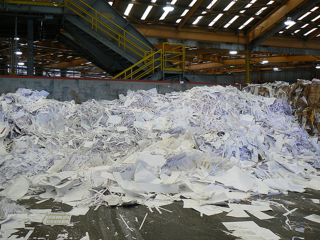 Исследователи создали аккумуляторы из отходов целлюлозно-бумажной промышленности