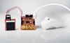 Starter Kit IAR EXP-STM32L152VB-GC