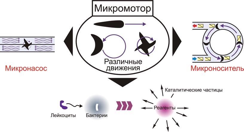 Недавно обнаруженный механизм позволяет приводить в движение микродвигатели