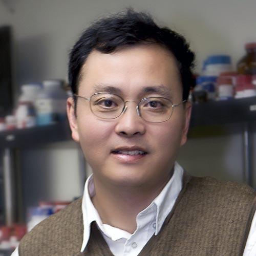 Hongjie Dai, professor of chemistry
