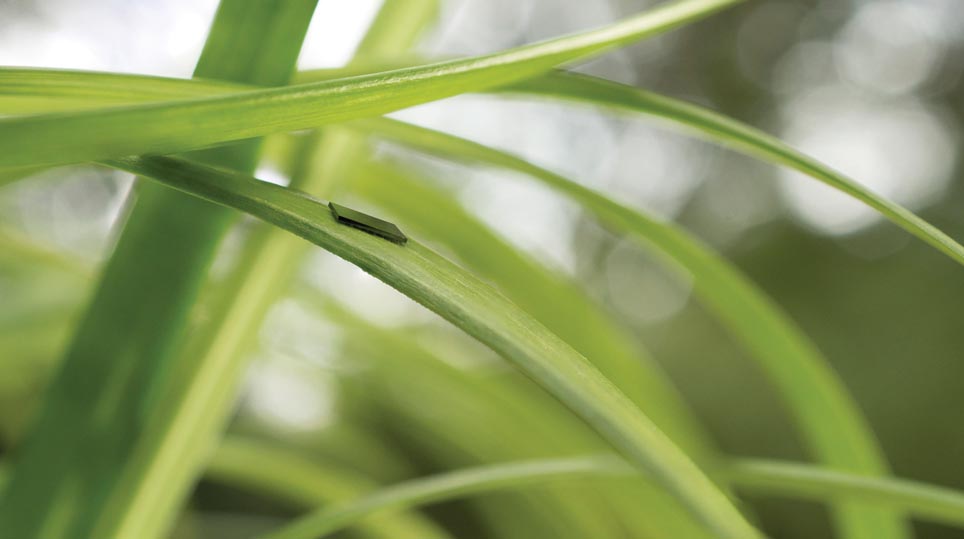Freescale - Kinetis K22 - Thin as a Blade of Grass