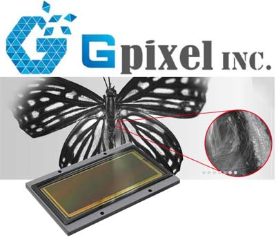 Светочувствительные КМОП-матрицы от Gpixel Inc.