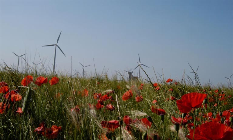 Interesting Wind Energy Facts