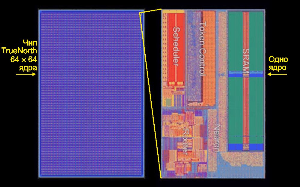 Introducing a Brain-inspired Computer