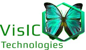 VisIC Logo