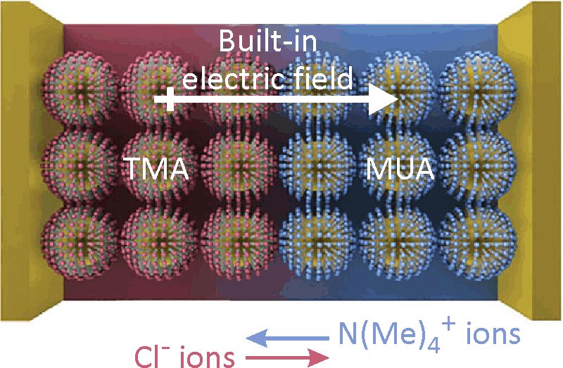 Chemoelectronics: Nanoparticle Diodes and Devices That Work When Wet