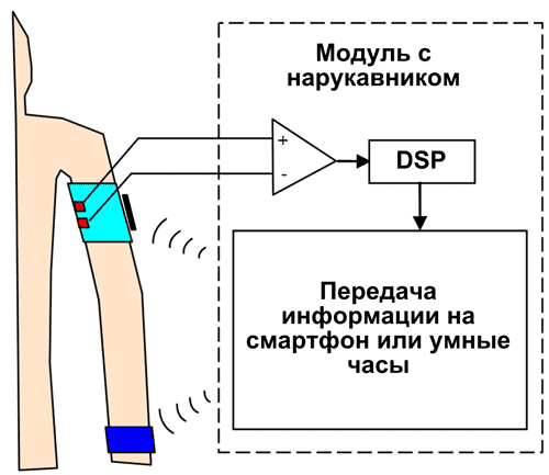 Взаимодействие портативной система ЭКГ и «Умных часов»