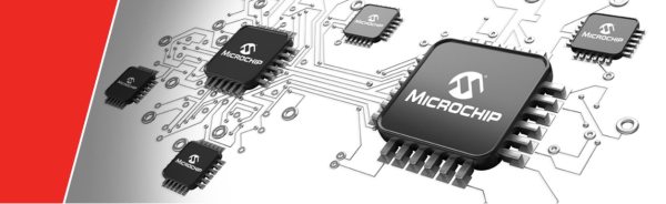 ПЕРСПЕКТИВНАЯ ПРОДУКЦИЯ MICROCHIP