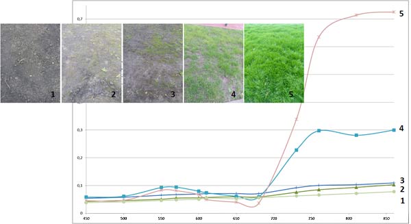 Пример изменения коэффициента отражения в зависимости от стадии прорастания травяного покрова