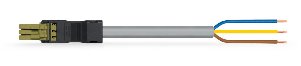 Datasheet Wago 891-8993/106-705