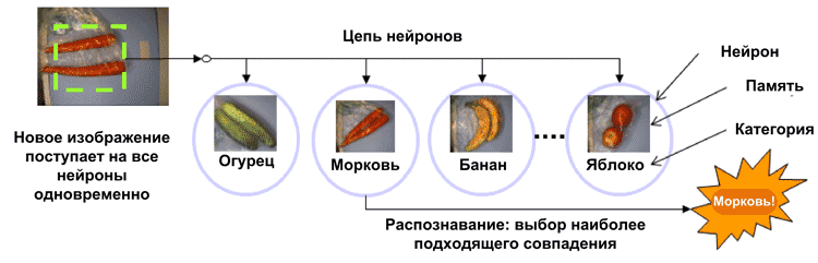 Использование NM500 для распознавания продуктов