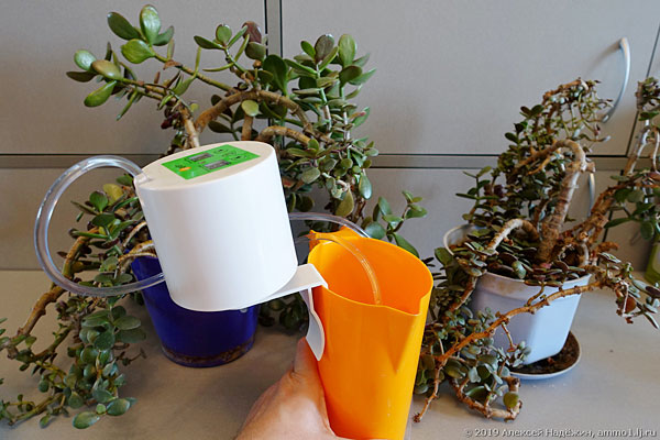 Автолейка - автоматический полив комнатных растений