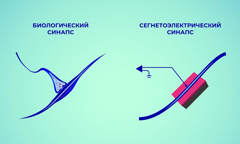 В МФТИ создали синапс для нейроморфного компьютера