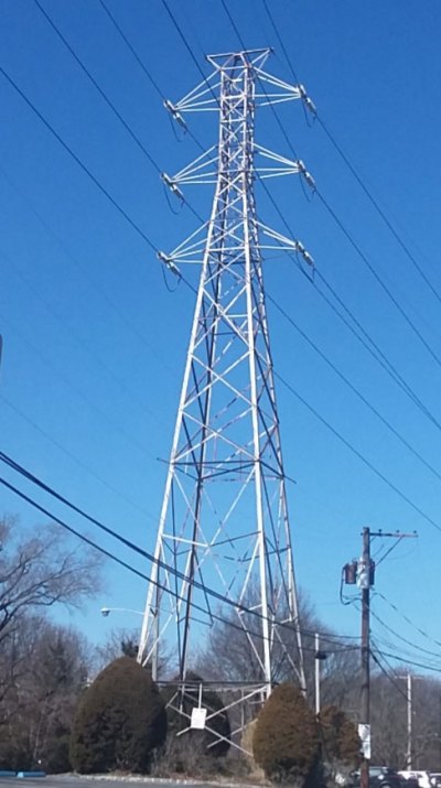 Birds don't normally come to rest on high tension power lines.