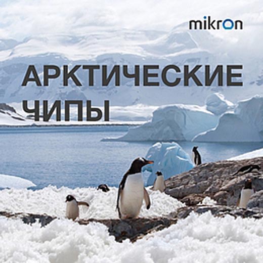 Резидент столичной особой экономической зоны модернизирует линейку промышленных микросхем для применения в Арктике