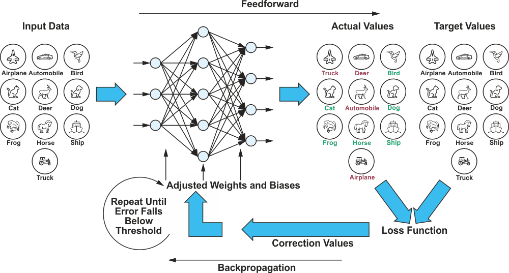 A training loop consisting of feedforward and backpropagation.