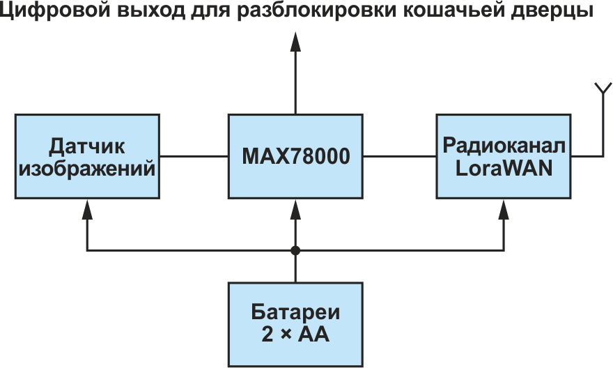 Блок-схема умной дверцы для кошки.