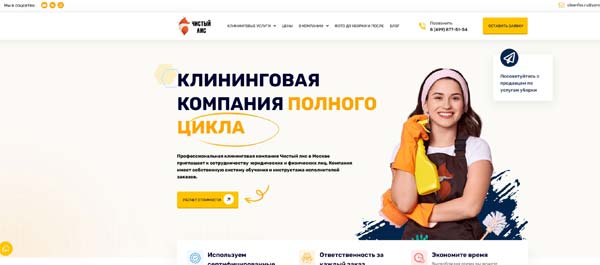 Клининговая компания Чистый лис в Москве