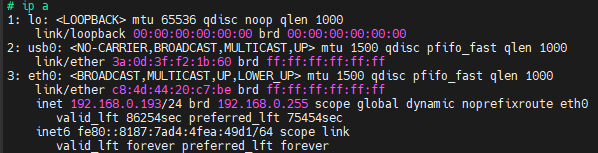 Результат выполнения команды ip a для проверки сетевых интерфейсов.