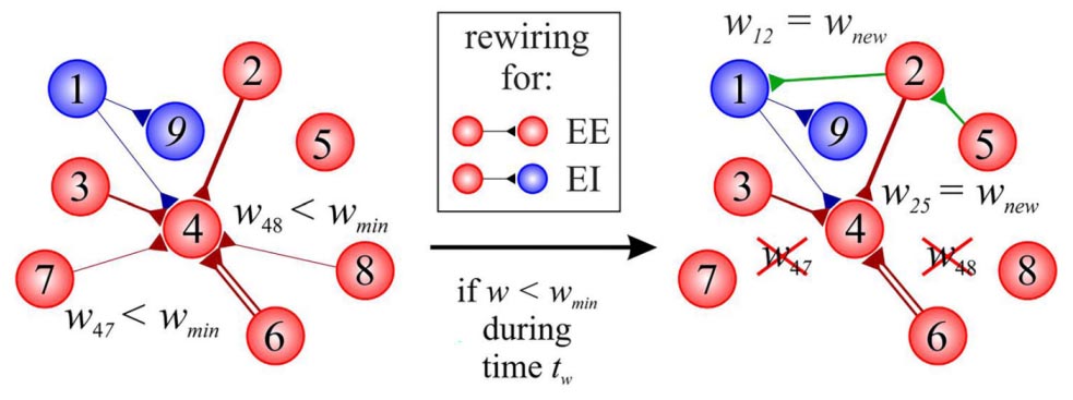 Ученые МФТИ усилили память ИИ в сотни тысяч раз на основе принципов работы человеческого мозга