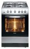 Газовая плита Hansa FCGX67022010